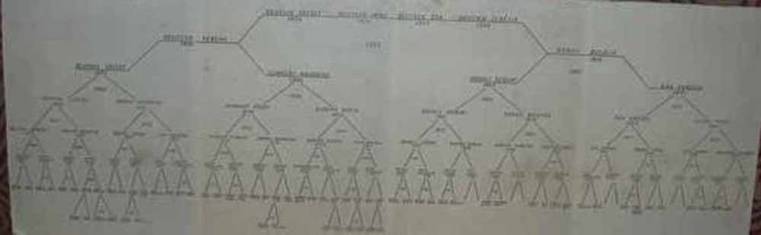 Családfa kivágott 2