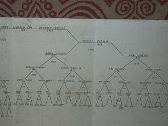 Csal�dfa, Kati n�ni 2