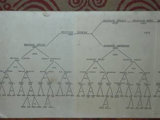 Csal�dfa, Kati n�ni 3