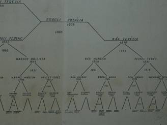 Csal�dfa, Kati n�ni 4