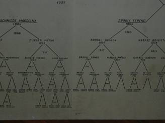 Csal�dfa, Kati n�ni 5