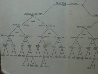 Csal�dfa, Kati n�ni 6